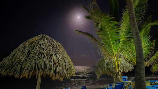in Punta Cana on a hot night in the tropics
