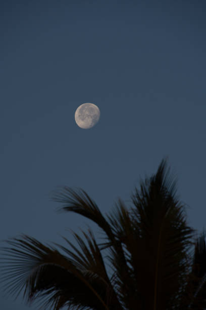 istock The moon shining above a beach 2149469644