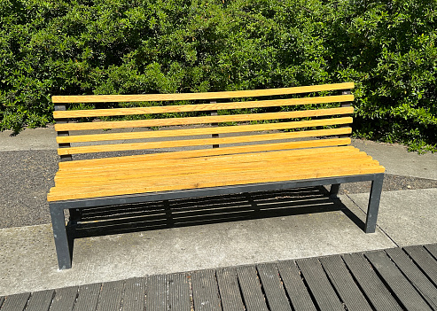 Wooden park bench in front of the bush