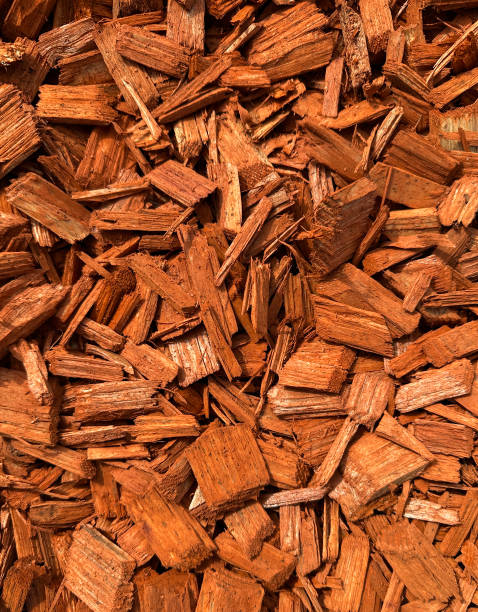 istock Mulch close-up at the park 2149471822