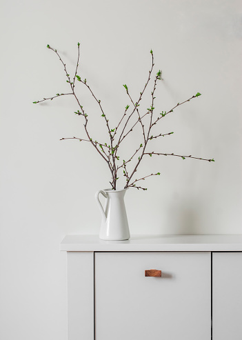 Branches in a white enameled jug on a white chest of drawers - minimalism style decor