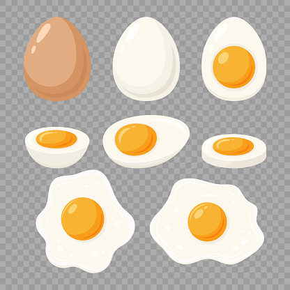 Vector Fried Sunny-Side-Up Egg and Boiled Egg Set, Isolated. Healthy Breakfast, Protein Food. Whole and Sliced Egg Design Template.