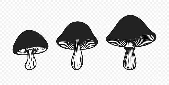 Vector Black and White Hand-Drawn Cartoon Mushrooms. Mushroom Illustration, Mushrooms Collection, Hand-Drawn Mushroom Design Template.