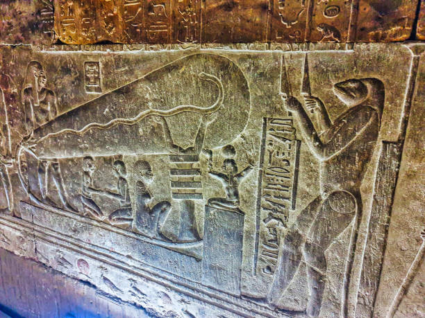Woman walking in Temple of Philae aka Temple of Isis in Aswan Egypt,Agilkia Island