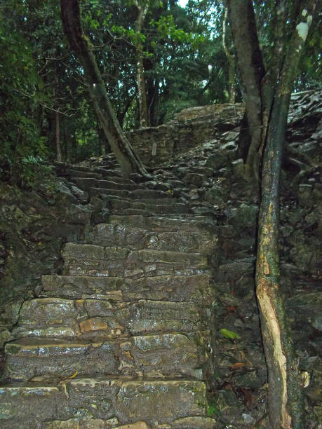 istock Ancient ruins of Maya, Palenque, Mexico 2149480537