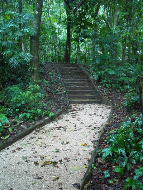 istock Ancient ruins of Maya, Palenque, Mexico 2149480545