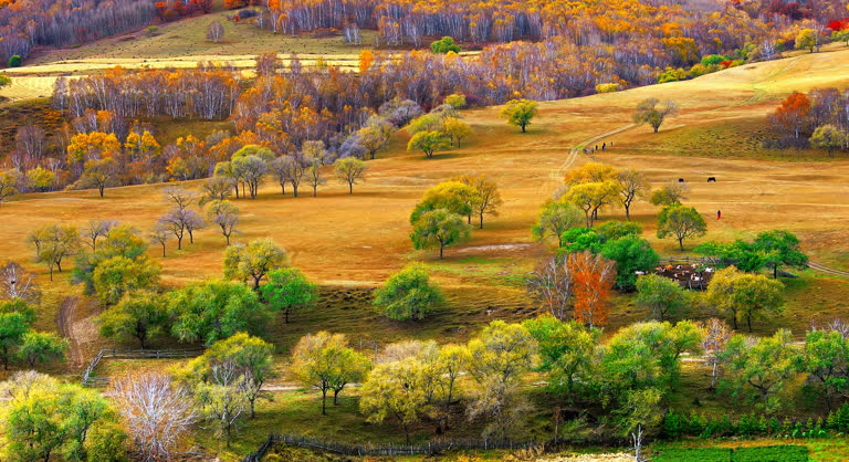Beautiful grassland natural landscape in Inner Mongolia, China.