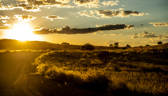 Golden sunset over a Kalahari dirt road. Clouds turn yellow and golden in the last light, and grass is backlit by low sun.