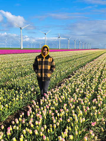A woman gracefully stands in a vibrant field of tulips, surrounded by bursts of colorful petals under the Dutch windmill turbines in Spring in the Noordoostpolder Netherlands