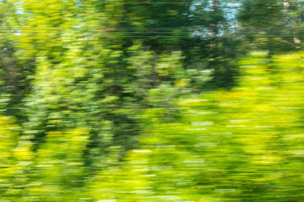 Nature in summer at speed. View from the train window.