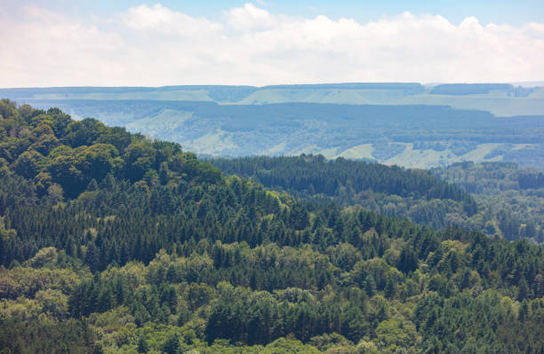 istock Green forest in the mountains in summer. View from above 2149493793