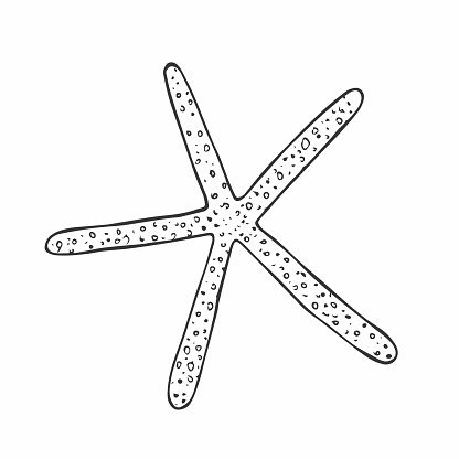 Doodle starfish, hand-drawn sea symbol. Five-finger organism painted by ink, pen. Line, minimalism. Simple sketchy icon. Isolated. Vector illustration.