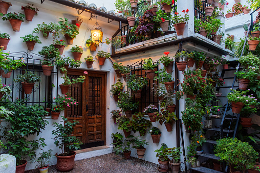 7/11/2023, Cordoba; Cordoba patio with flowers, in autumn and the pots continue to fill the patios with flowers.