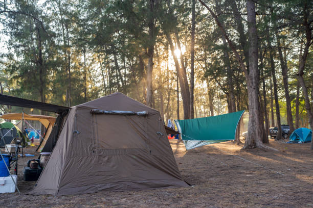 istock Tourist tent camping under the trees with sunset. 2149496239