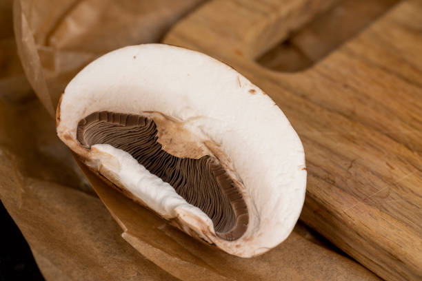 fresh brown mushrooms for cooking, edible home-grown mushrooms for cooking