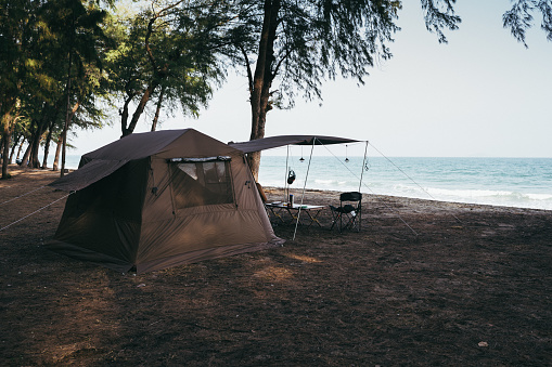 Camping tent on sand under tree pine in the morning, Outdoor lifestyle concept.