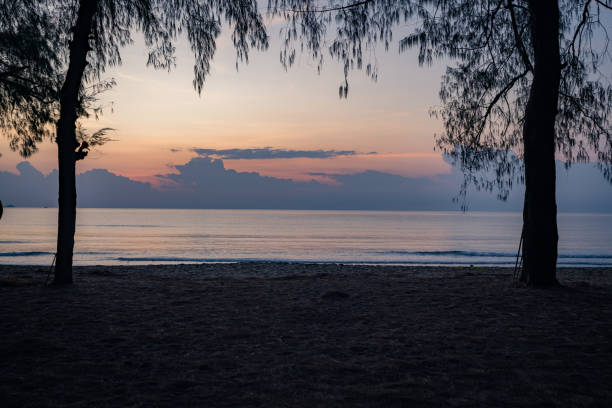 istock Morning beach, beautiful pine trees with clouds and beautiful morning sky. 2149496999