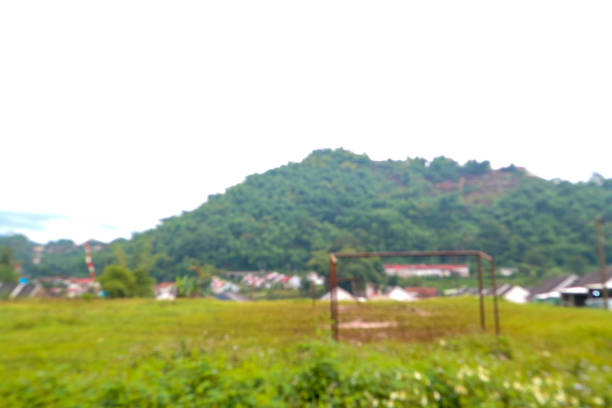 View of green mountains and rice fields