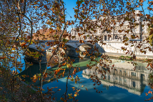 A view through the tree branches on the river Tiber bridge Ponte Umberto I and the General Prosecutor's Office