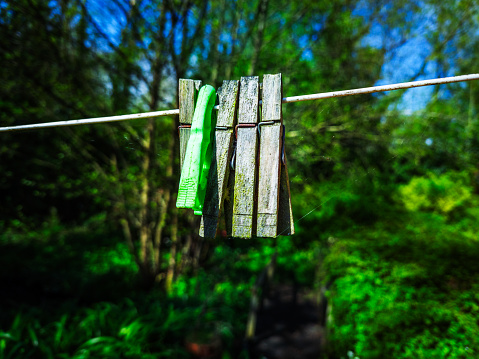 pegs clothes pins on washing line