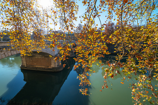 The bridge Ponte Giuseppe Mazzini leading over river Tiber in Rome, Italy. A view through golden leaved tree