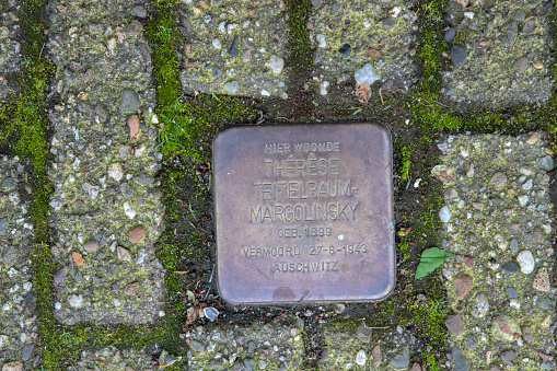 Stolperstein Memorial Stone From Therese Teitelbaum-Margolinsky At Amsterdam The Netherlands 21-3-2024