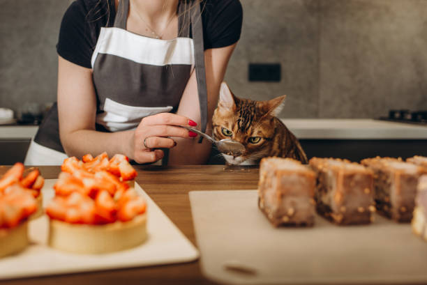 A cat in an apron and a cap rolls out the dough. Cooking at home