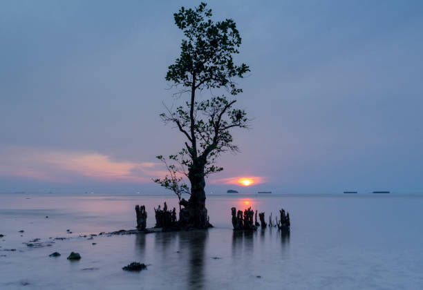 istock Panorama of Nirwana Beach Padang at dusk 2149505882