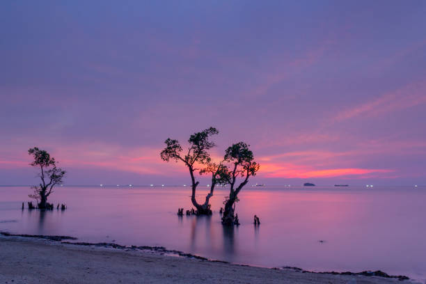 istock Panorama of Nirwana Beach Padang at dusk 2149506236