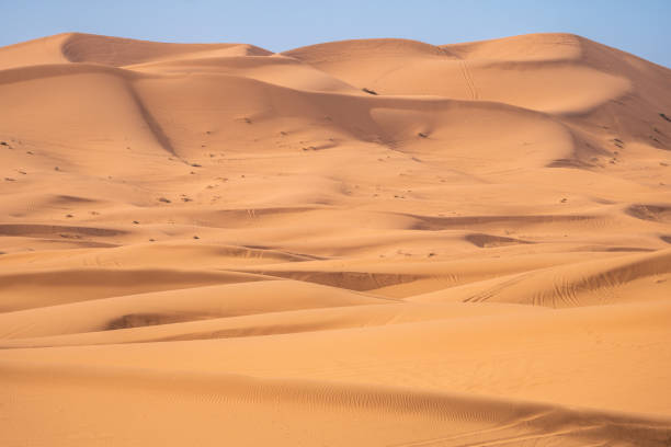 istock Merzouga, Morocco, Stunning sand dunes in the desert 2149507196