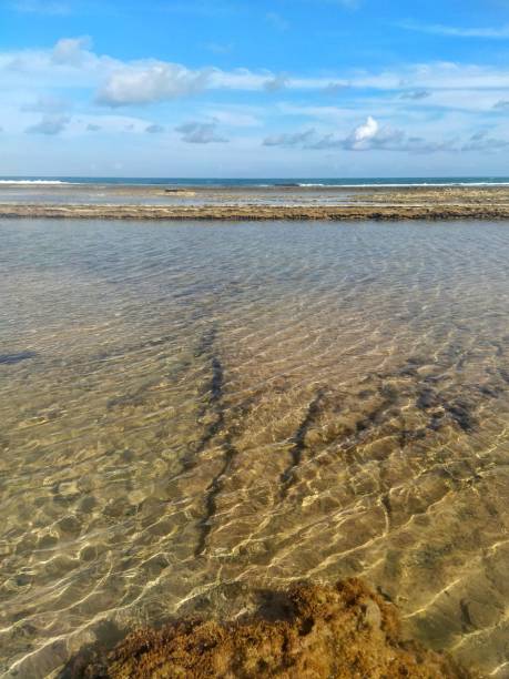 istock Stone corals and clear waters 2149510223