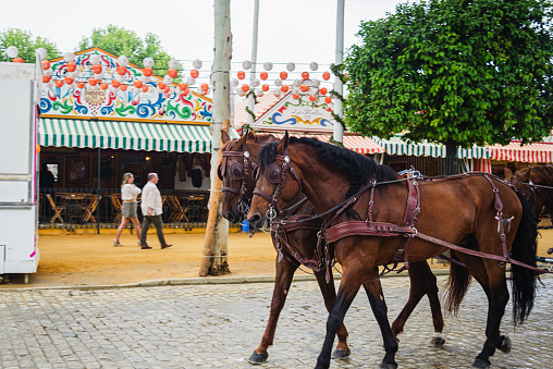 sevilla, Spain-April 20, 2024: horse-drawn carriage, traditional ride through the streets of the April fair of seville