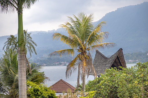 Samosir, Island, Lake Toba, North Sumatra, Indonesia - February 1st 2024:  House with a typical Batak roof and a coconut palm tree