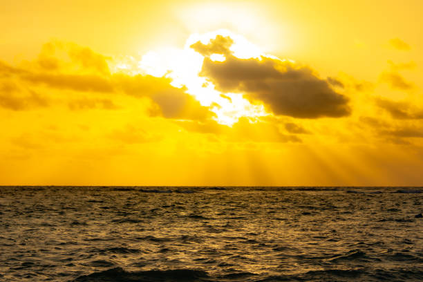 in Punta Cana in the Dominican Republic