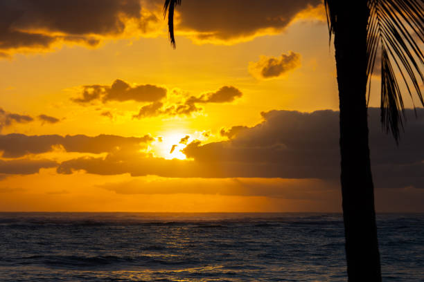 in Punta Cana in the Dominican Republic