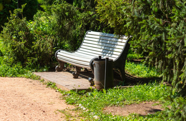 Bench in the park in summer.