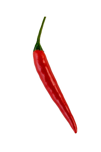 A red chili pepper is shown in its natural form. The image is of a single chili pepper, with its stem and the tip of the pepper visible. Chili pepper isolated on white background