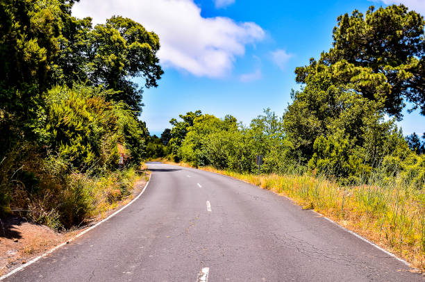 istock A road with a few trees in the background 2149517264