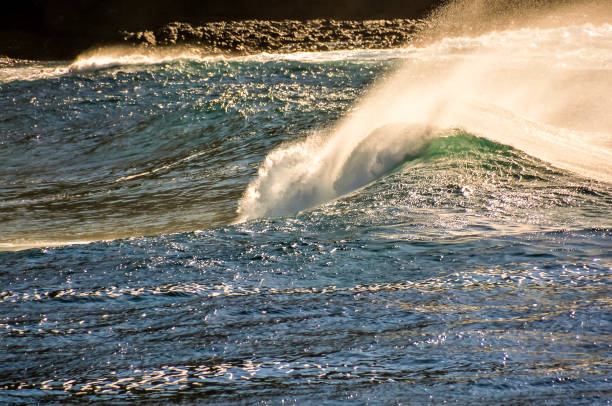 The ocean is calm and the waves are small. The water is blue and the sky is clear
