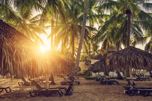 Tropical Honeymoon resort in Punta Cana, The Dominican Republic