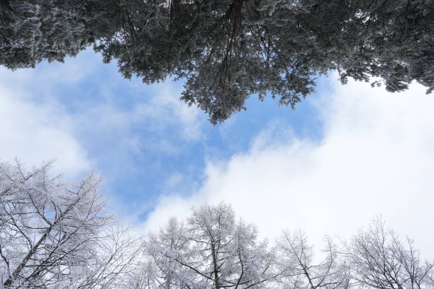 Go hiking in Japan during winter