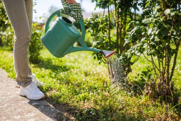 istock Senior woman gardening 2149520761