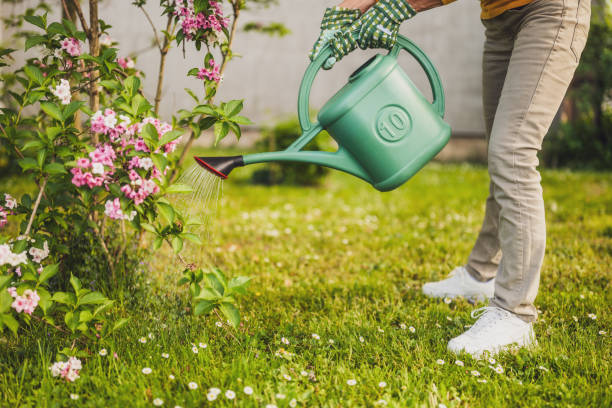 Senior woman gardening