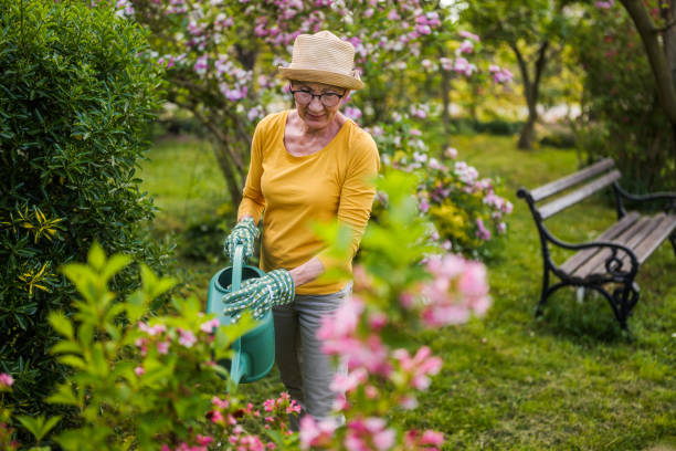 istock Senior woman gardening 2149520810