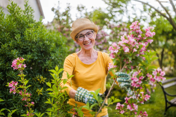 istock Senior woman gardening 2149520812