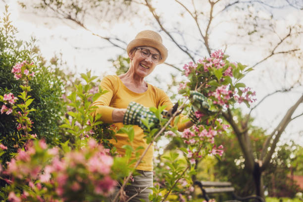 istock Senior woman gardening 2149520866
