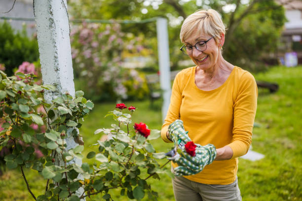 istock Senior woman gardening 2149520914