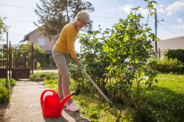istock Senior woman gardening 2149521002