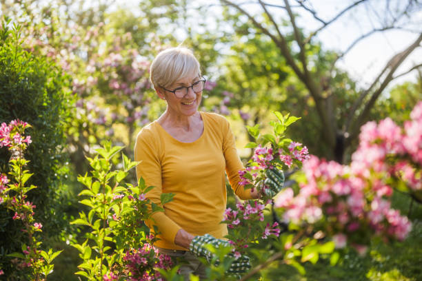 istock Senior woman gardening 2149521063
