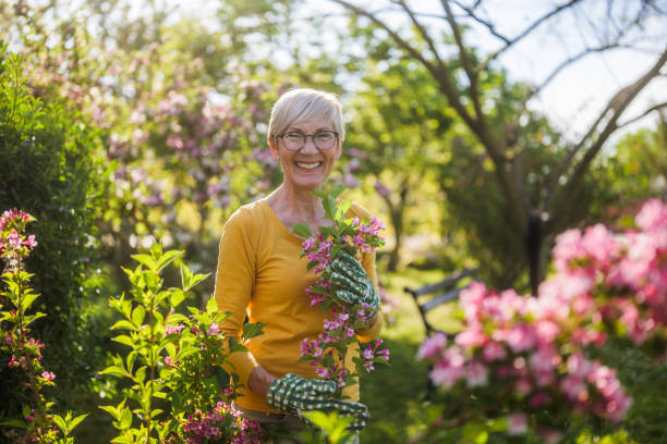 istock Senior woman gardening 2149521068
